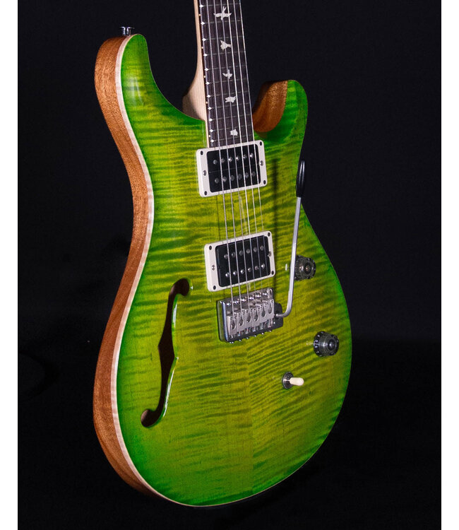 PRS CE24 Semi-Hollow, Eriza Verde
