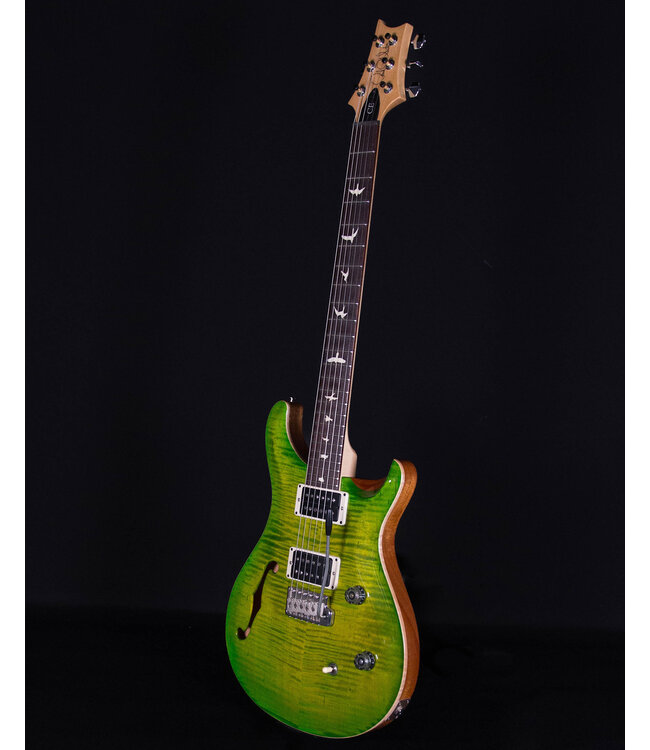 PRS CE24 Semi-Hollow, Eriza Vede