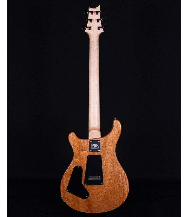 PRS CE24 Semi-Hollow, Eriza Verde