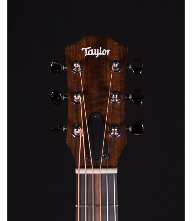 Taylor GS Mini-e Rosewood Plus