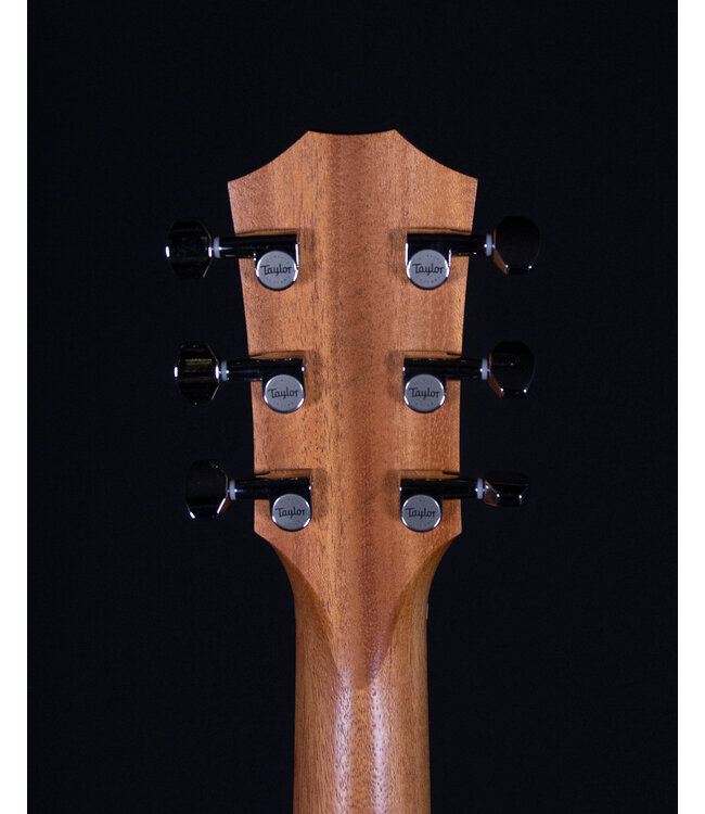 Taylor GS Mini-e Rosewood Plus
