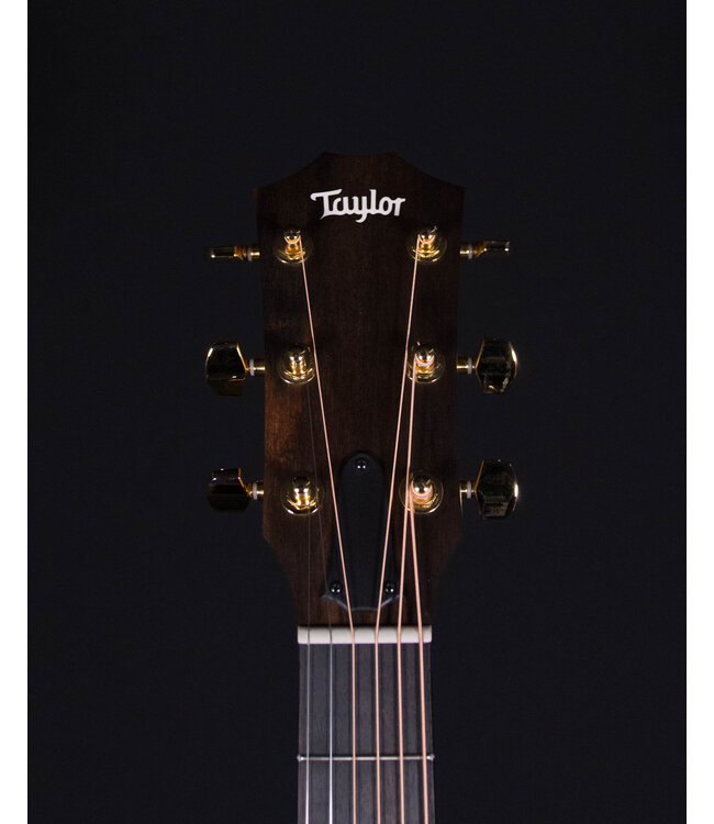 Taylor 224ce-K DLX, Koa / Koa, Left-Handed
