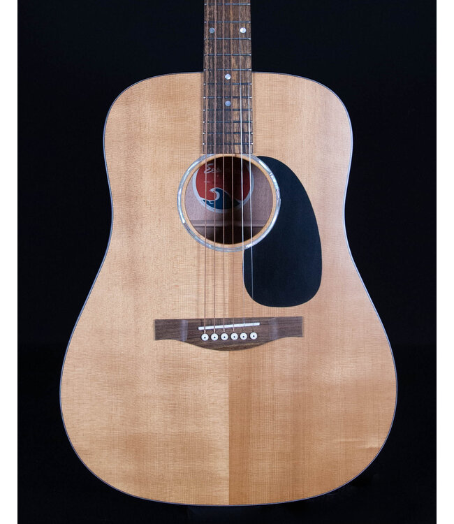Eastman PCH1-D Acoustic, Natural