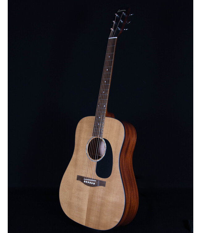 Eastman PCH1-D Acoustic, Natural