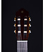 Yamaha CG182C Classical Acoustic Guitar