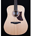 Ibanez AAD10, Open Pore Natural