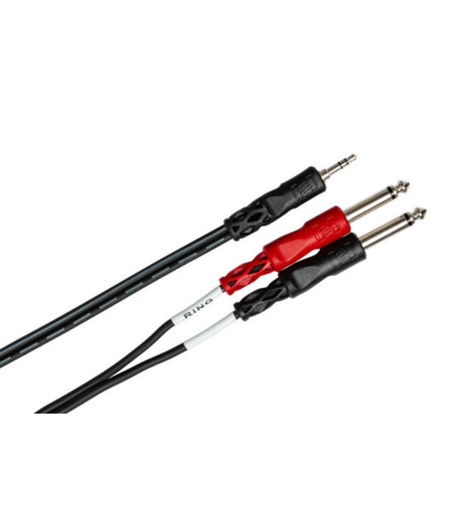 Hosa CMP-159 Stereo Breakout Cable, 3.5mm TRS to Dual 1/4" TS - 10 Foot