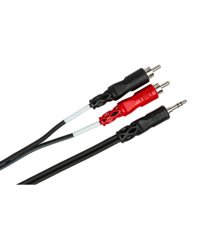 Hosa CMR-210 Stereo Breakout Cable, 3.5 mm TRS to Dual RCA - 10 Foot