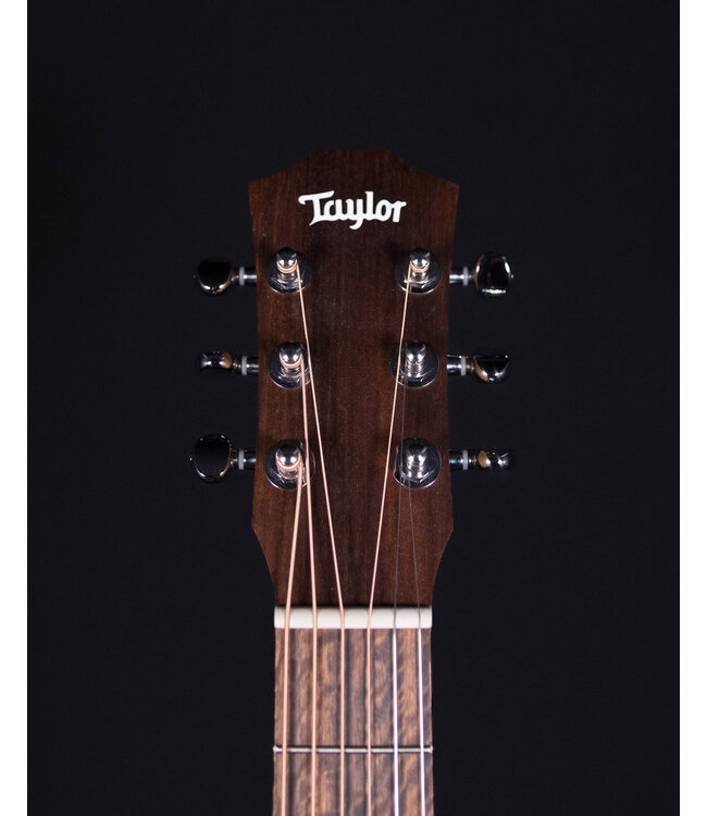 Taylor BT1 Baby with Gigbag