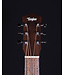 Taylor Taylor BT1 Baby with Gigbag