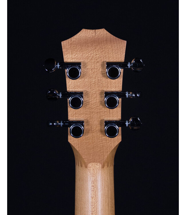 Taylor BT1 Baby with Gigbag