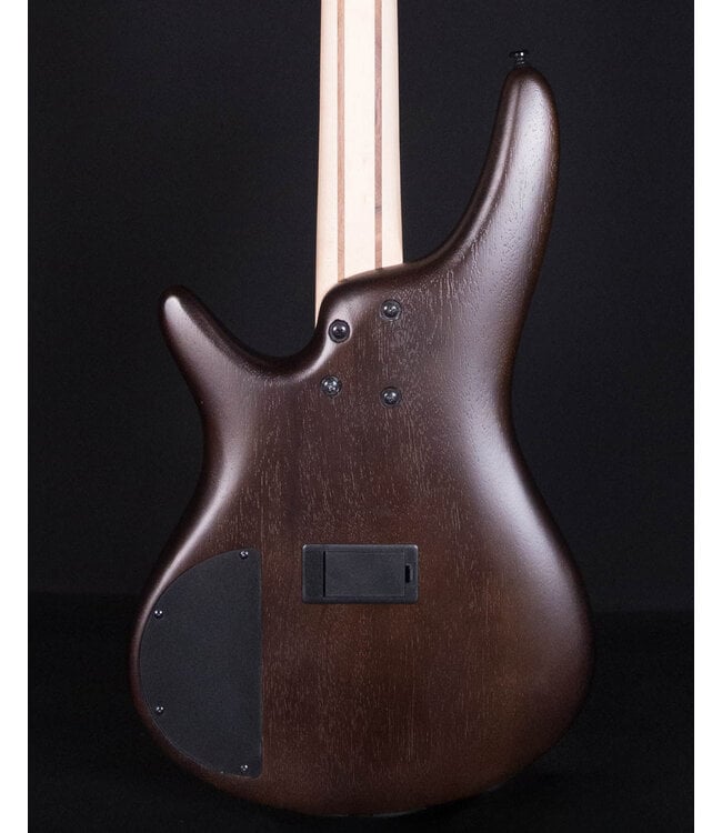 Ibanez SR300EB 4-String Electric Bass, Walnut Flat