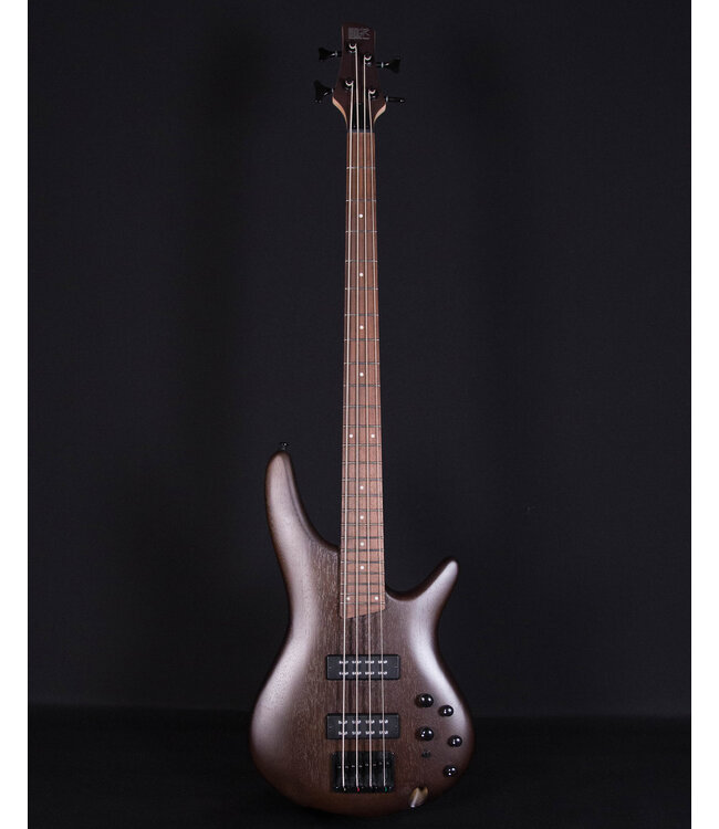 Ibanez SR300EB 4-String Electric Bass, Walnut Flat