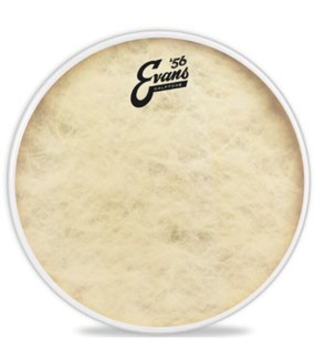 Evans 13" Calftone Drum Head