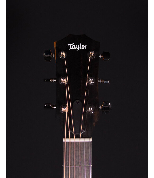 Taylor 210ce Plus