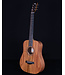 Taylor BT2 Baby, Mahogany Top