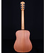 Taylor BT2 Baby, Mahogany Top