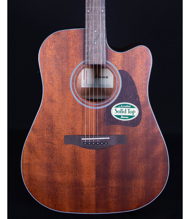Ibanez AW54CE Artwood Acoustic, Open Pore Natural