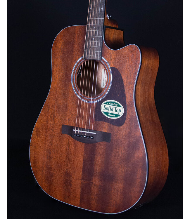 Ibanez AW54CE Artwood Acoustic, Open Pore Natural