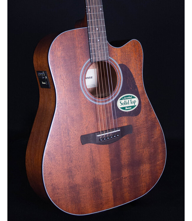 Ibanez AW54CE Artwood Acoustic, Open Pore Natural