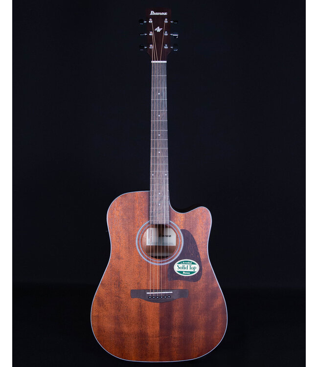 Ibanez AW54CE Artwood Acoustic, Open Pore Natural