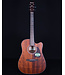 Ibanez AW54CE Artwood Acoustic, Open Pore Natural