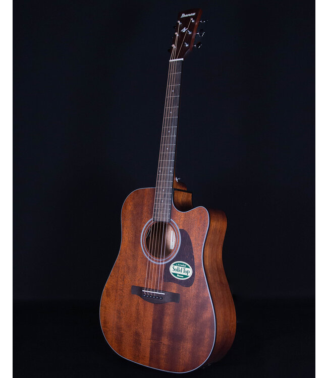 Ibanez AW54CE Artwood Acoustic, Open Pore Natural