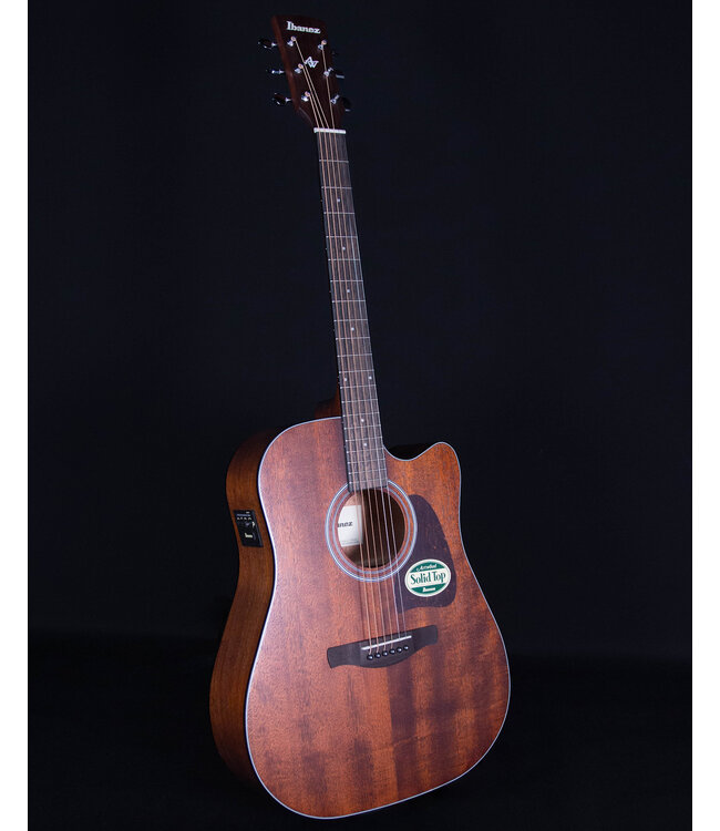 Ibanez AW54CE Artwood Acoustic, Open Pore Natural