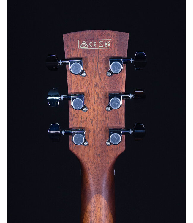Ibanez AW54CE Artwood Acoustic, Open Pore Natural