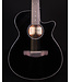 Ibanez AEG5012 12 String Acoustic Guitar, Black