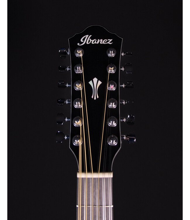 Ibanez AEG5012 12 String Acoustic Guitar, Black