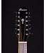 Ibanez AEG5012 12 String Acoustic Guitar, Black