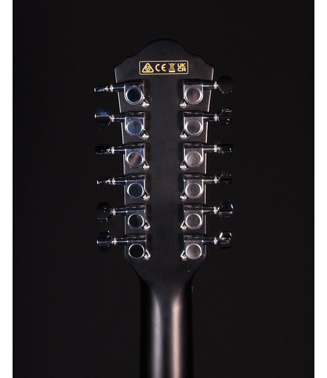Ibanez AEG5012 12 String Acoustic Guitar, Black