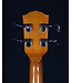 Fender Fender CB-60SCE Acoustic/Electric Bass, Laurel FB, Natural