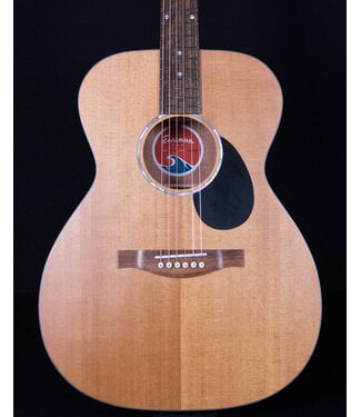 Eastman Eastman PCH1-OM, Natural with Bag