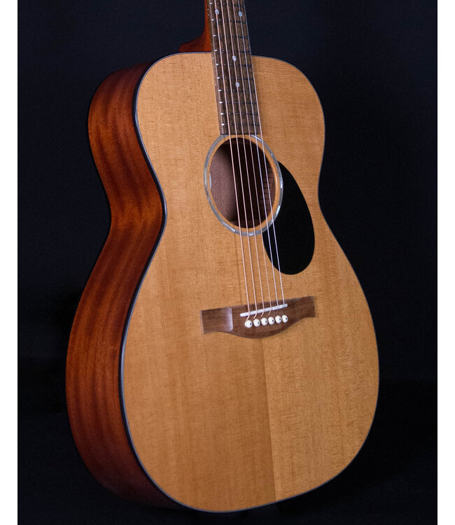 Eastman PCH1-OM, Natural with Bag