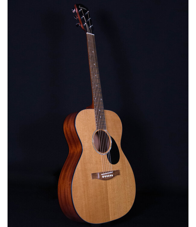 Eastman PCH1-OM, Natural with Bag