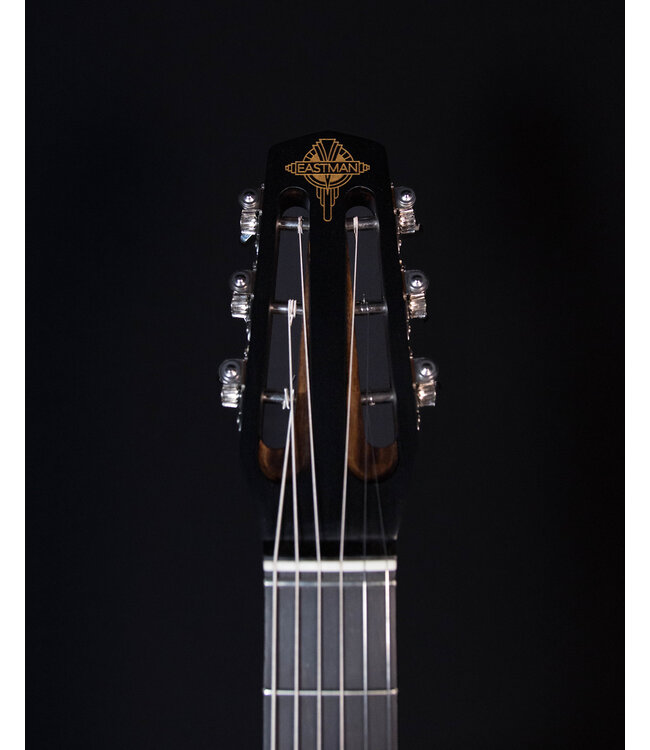 Eastman DM1, Gypsy Guitar with Sitka Spruce Body Back/Sides:Rosewood Laminate,