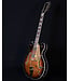 Gretsch Gretsch G5422G-12 Electromatic Hollow Body Double-Cut 12-String, Single Barrel Burst - BLEM