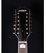 Gretsch Gretsch G5422G-12 Electromatic Hollow Body Double-Cut 12-String, Single Barrel Burst - BLEM