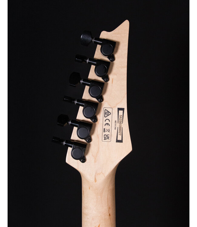 Ibanez PGMM31 Paul Gilbert, White