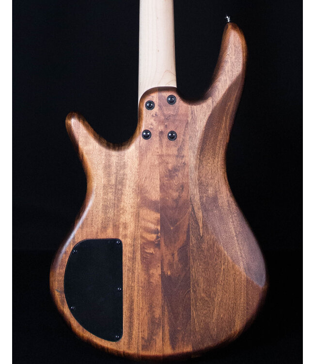 Ibanez GSR100E 4-String Bass, Mahogany Oil