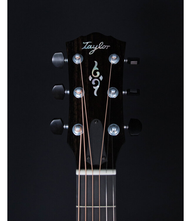 Taylor Gold Label 814e Acoustic, Natural, with LR Baggs Electronics