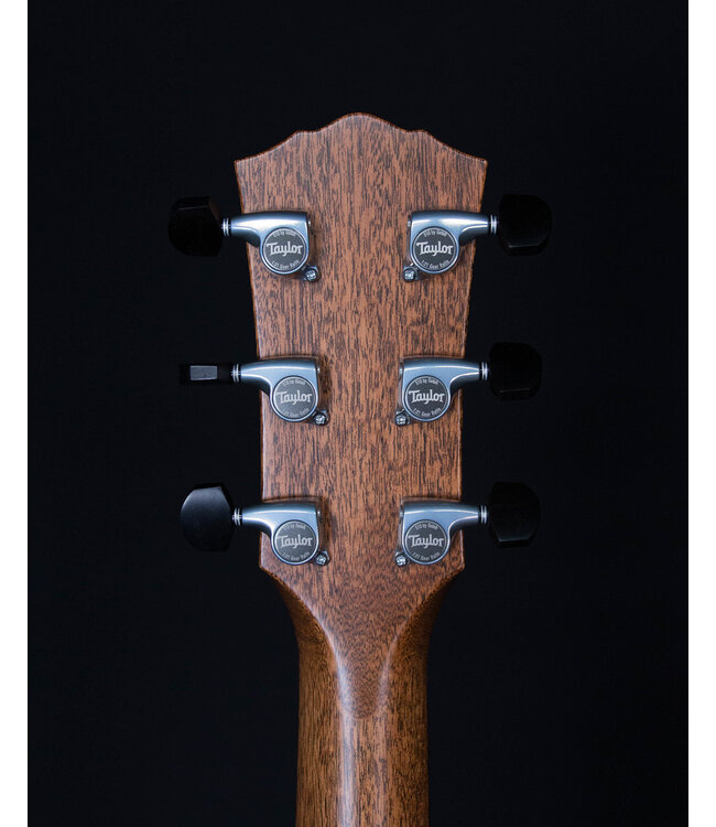 Taylor Gold Label 814e Acoustic, Natural, with LR Baggs Electronics