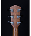Taylor Gold Label 814e Acoustic, Natural, with LR Baggs Electronics