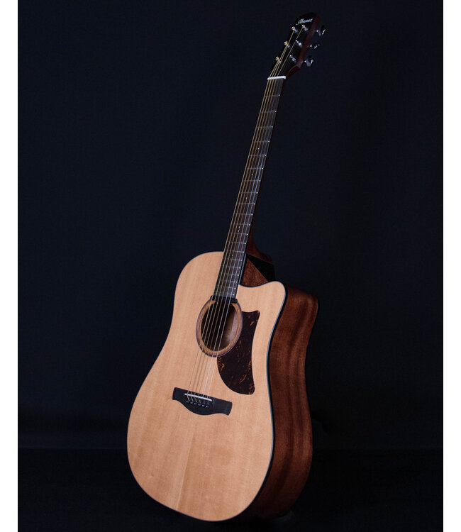 Ibanez AAD170CE, Natural Low Gloss