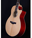 Ibanez AE170 Acoustic Electric, Natural