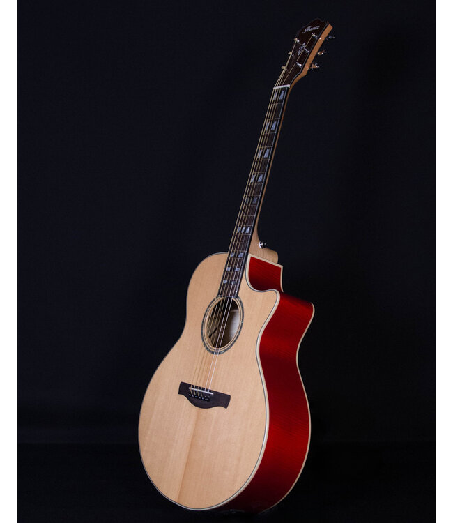 Ibanez AE170 Acoustic Electric, Natural