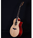 Ibanez AE170 Acoustic Electric, Natural