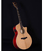 Ibanez AE170 Acoustic Electric, Natural